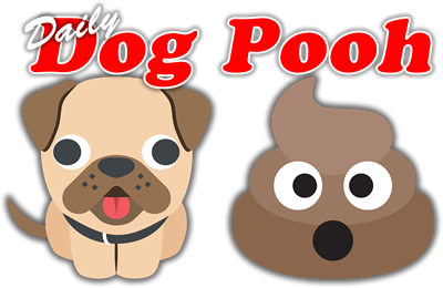 Daily Dog Pooh